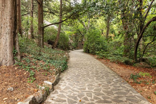 Stone Walkway Repair in Dayton