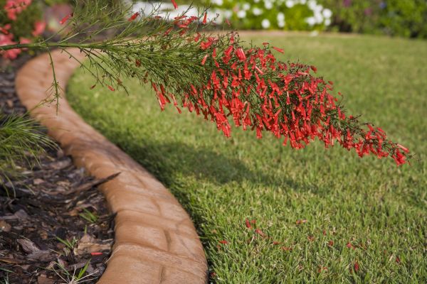 Brick Edging in Dayton