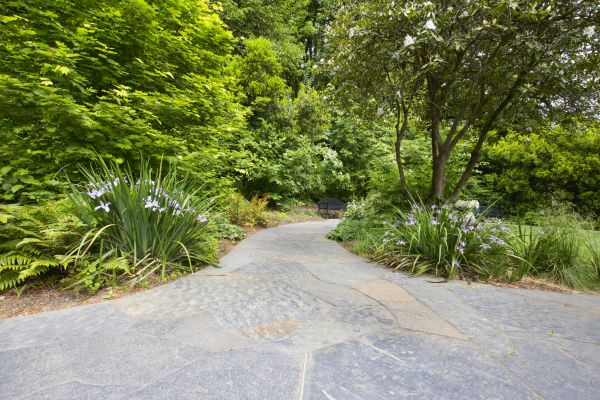 Stone Hardscape Service in Dayton
